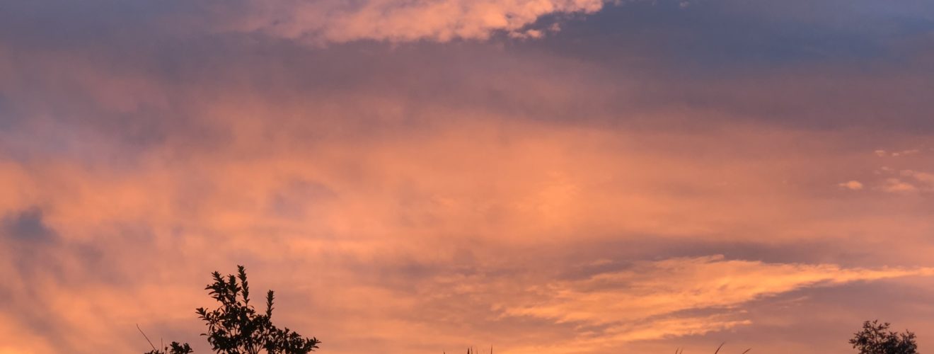 Sunset Sky - Tokai